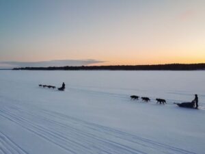 Psí spřežení v severské krajině
