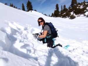 Účastníci hledají zasypaného pomocí lavinového vyhledávače v horském terénu.